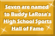 Seven are named to Buddy LaRosa's High School Sports Hall of Fame